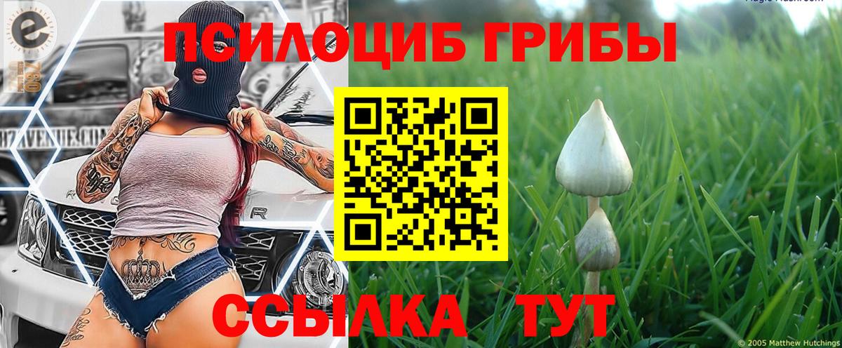 Галлюциногенные грибы MAGIC MUSHROOMS Рузаевка